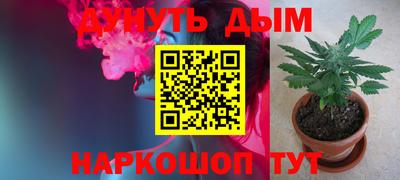 прущие крисы Пугачёв